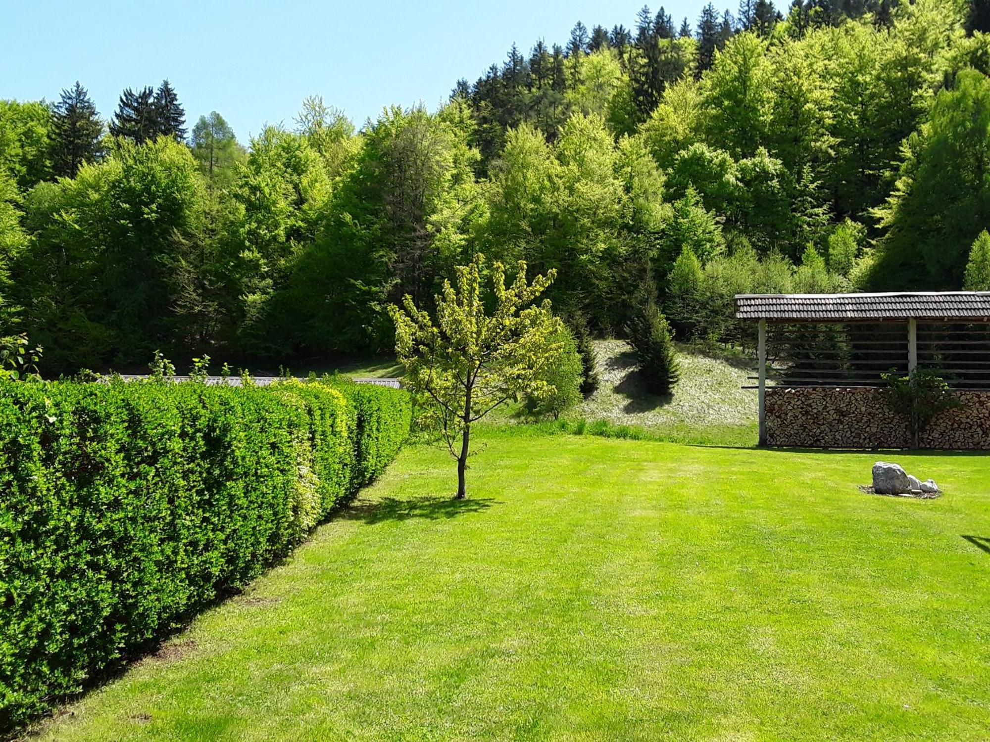 Apartment Natur Bled Exteriör bild