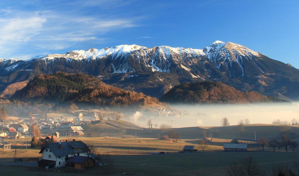 Apartment Natur Bled Rum bild
